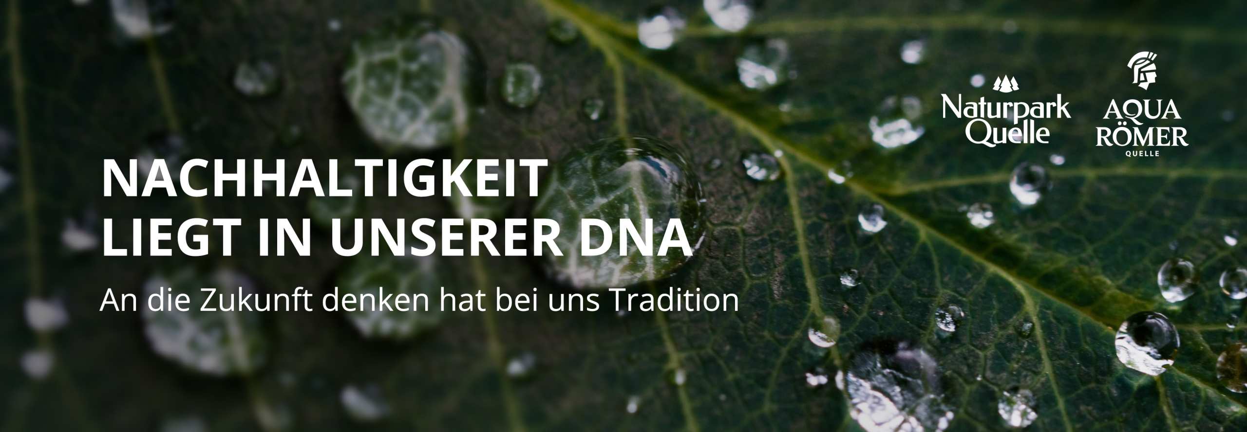 Nachhaltigkeit